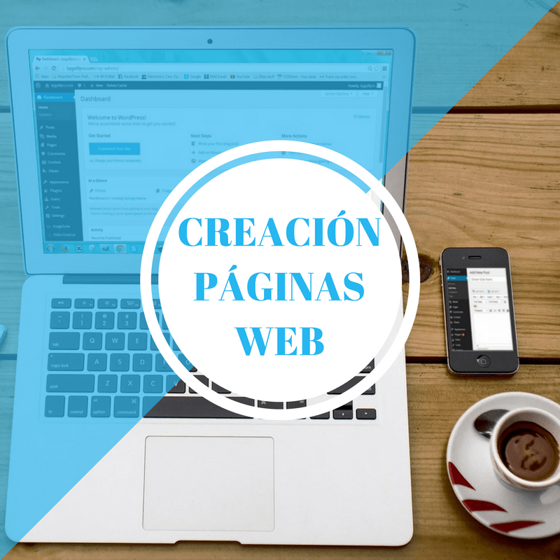 pagina web laura dolz