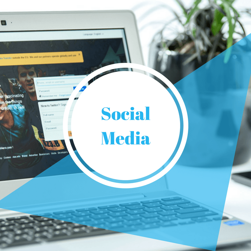 social media laura dolz